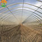 Vegetable Production Hot Dipped Galvanized Frame Structure 200 Micron Film