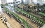 Glass Bottle Beer Production Line Packing Conveying Process 12 Months Warranty