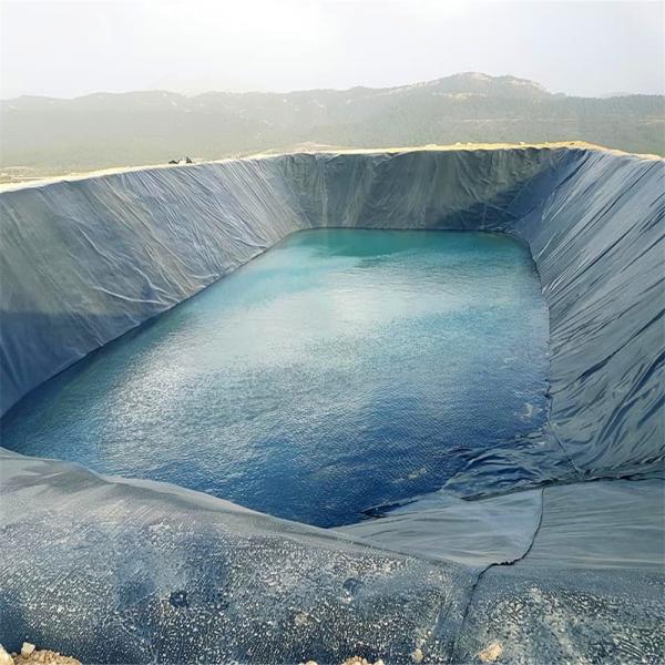 HDPE Geomembrane Sheet for Fish Farm Tank Pond Tarpaulin Liner Piscine at