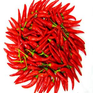 Wholesale 20000SHU Sanying Tianjin Red Chilies HACCP KOSHER Certificate from china suppliers