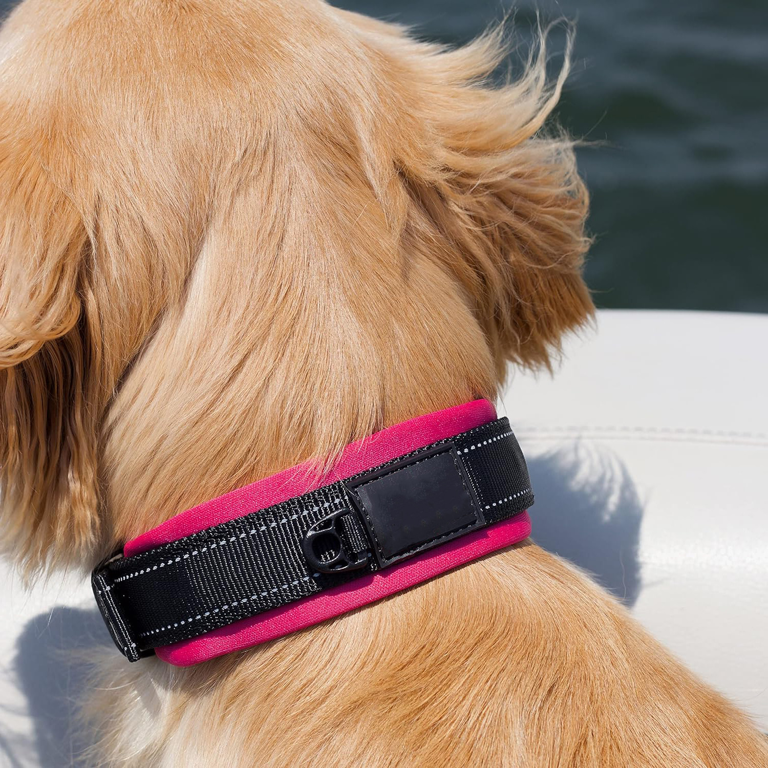 Reflective Plain Nylon Adjustable Webbing Dog Collars Padded XS S M L Custom Size
