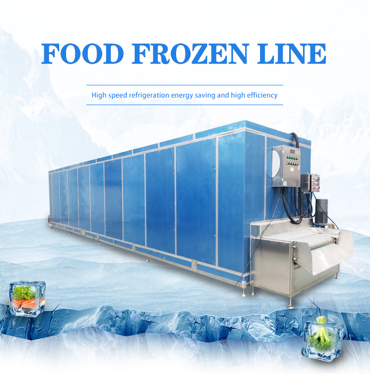 Frozen Vegetables Processing Line Tunnel Freezer 1000kg/H Chicken Freezer