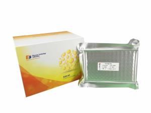Wholesale Strong Specificity ELISA Assay Kit for Mouse ACV-A ELISA Kit 96 Wells 48 Wells from china suppliers