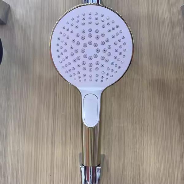 Ultra-Thin Round Zinc Alloy Shower Head With Test Model Spout Material Wall Mounted