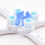 OEM/ODM Round Electric Toothbrush Heads Removable Toothbrush Head Eb22-X
