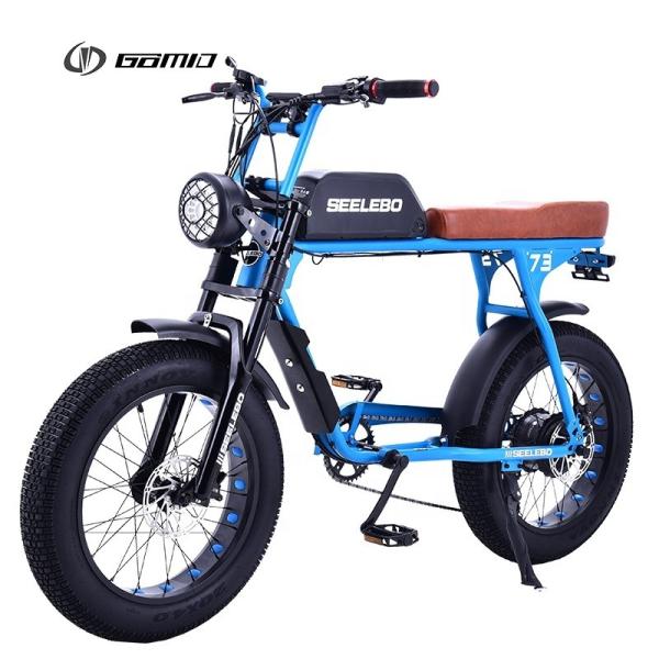Digital Ebike Hub Motors Bicycle Electric Fat Tire Bike 7speed MTB E-bike Retro
