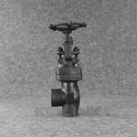 Angle Type Forged Steel Globe Valve SW NPT Carbon Steel Angle Stop Valv