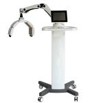 Salon PDT LED Machine Wrinkle Removal Skin Rejuvenation 2520pcs Lamps