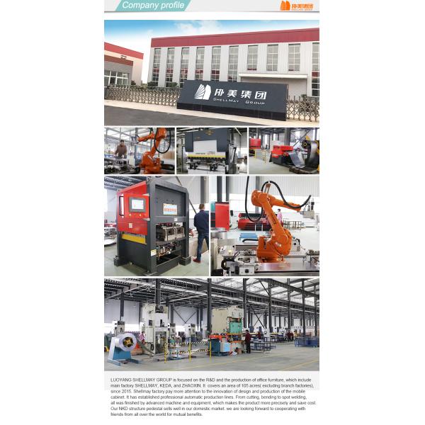 Share Ergonomics Round Body Design 3 Drawers Mobile Pedestal File Cabinet