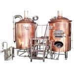 Stainless Steel 304 Mini Brewing Equipment for Food Grade Processing and