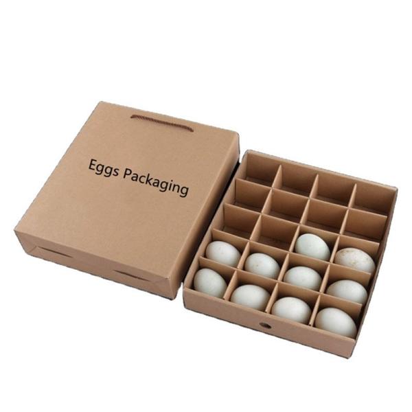Eco Friendly 20 Quail Egg Shipping Boxes Container Empty Brown Carton Packaging