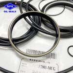 High Pressure NBR M51P2001-MCG Ship Model Hydraulic Motor Repair Kits Seal Kit