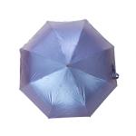 Luxury Purple Automatic Closing Umbrella Color Coating Compact Umbrella With Owl