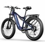 48V 1000W Power MTB Electric Mountain Bike With 17.5ah Lithium Battery Disc