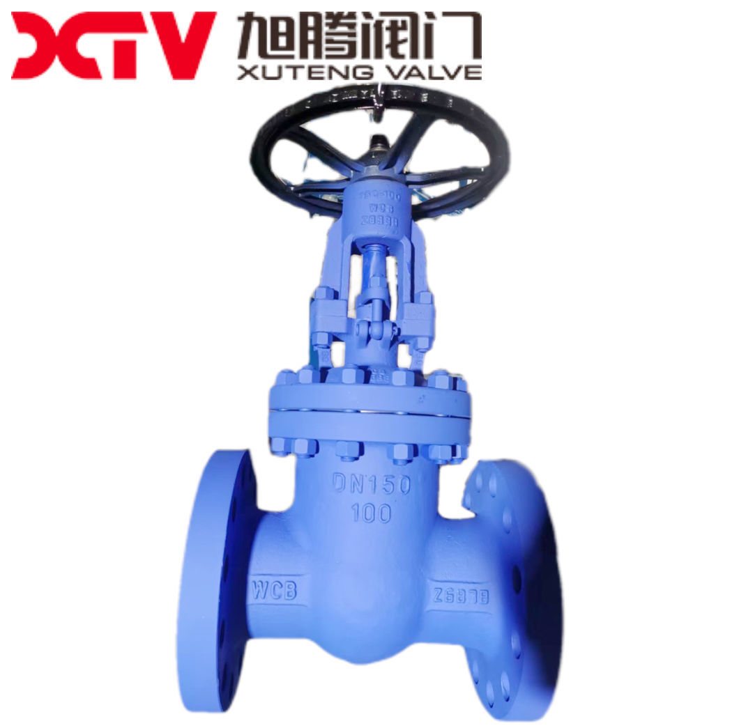 ANSI 300lb Y Type Flange Stainless Steel Filter SS304
