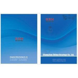 Changzhou Zhihua Bearings Co., Ltd. Certifications