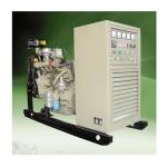 100KW Biomass Engine Driven Generators Biogas Electric Generator For Home