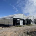 Automatic Light Deprivation Polycarbonate Greenhouse Temperature Humidity