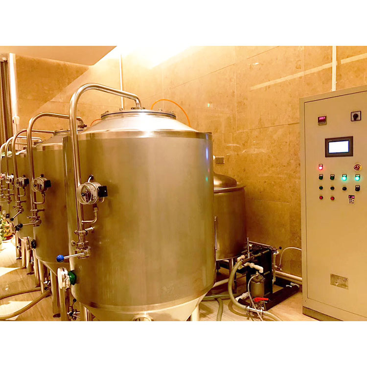 304 Stainless Steel Fermentation Beer Brewing Equipment for 200L Working Volume