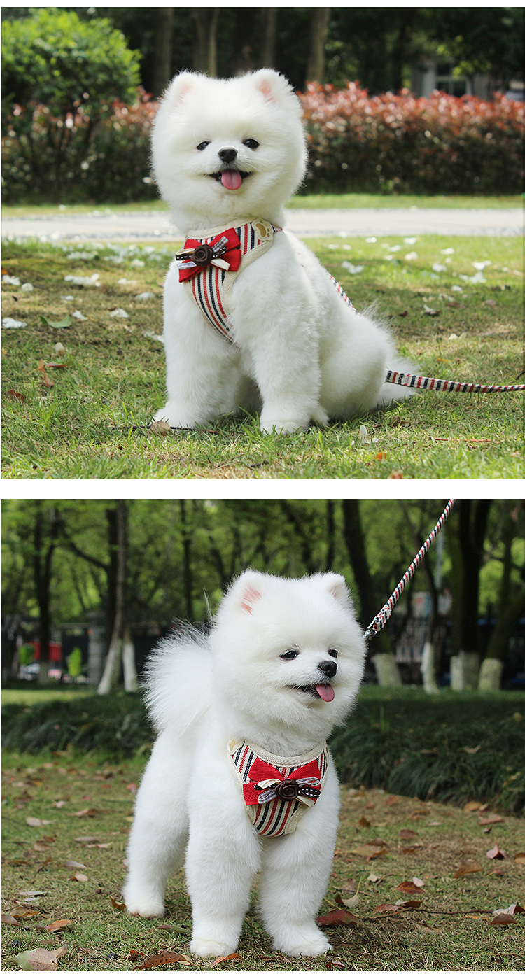 Wholesales Adjustable No-pull Pet Saddle Vest Pet product Cheap Dog Dress Pet Accessories Dog Harness And Leash