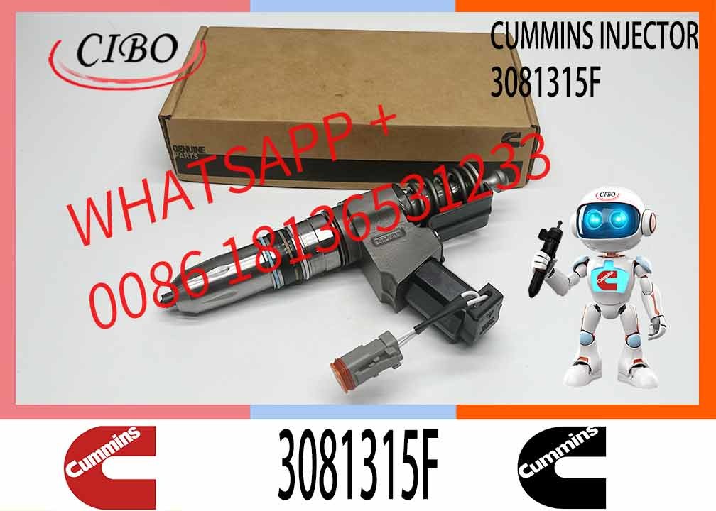 Machinery Engine Parts Common Rail Fuel Injector 3411760 3081315F 3409975 For Cummins N14