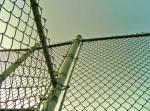 2.5mm/1.5mm 50X50mm PVC Coated Chain Link Fence Wire Mesh Fence