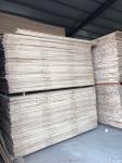 Contemporary Design Style AA Grade Paulownia Wood Board with Competitive from