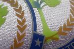 Exquisite And Multicolor Personalised Embroidered Badges , Custom Embroidered