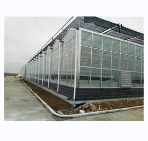 Wholesale Super Strong Resistance Venlo Glass Greenhouse for Commercial Agricultural Turnkey Project from china suppliers