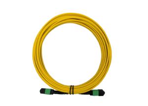 Wholesale 12 Core APC SM 20m MTP MPO Patch Cord 9 / 125 Single mode LSZH Female to Female from china suppliers