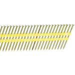21 Degree 0.113''*2'' Smooth shank Electric Galvanized Plastic Collated Nails