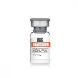 Wholesale HCG Injections Labels Hcg 5000iu HCG Peptides Human Chorionic Gonadotropin from china suppliers