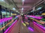 Rental Transparent LED Screen 1/16 Scanning 250*250mm Module For Commercial