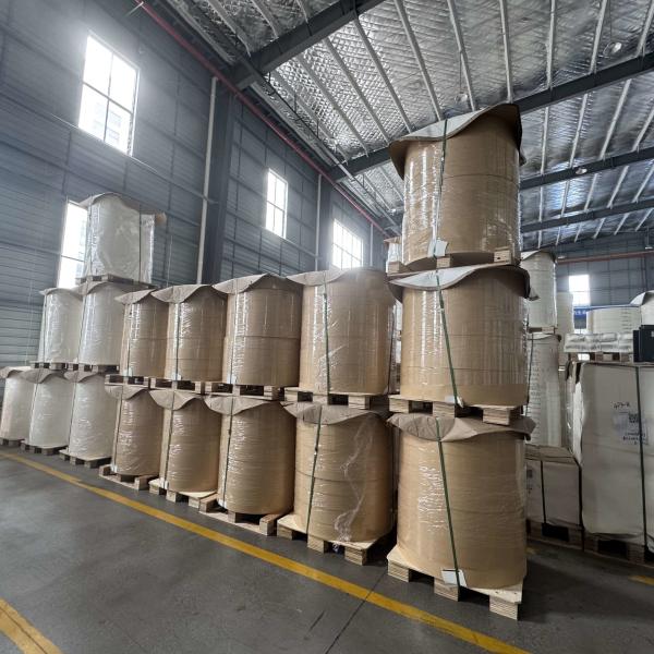 PE Coated Paper Roll Cupstock for food and beverage packaging