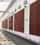 Automatic Poultry House Equipment 3m/3pan 3m/4 Pan Chicken Coop Shed High