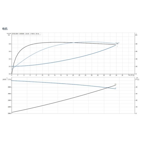 Grundfos Anti-Sand High-Pressure Stainless Steel Submersible Borehole Deep Well Water Pump