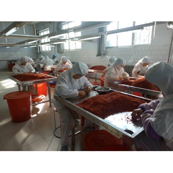 DEHYDRATED RED BELL PEPPER A GRADE ,10X10MM, 5X5MM, ALL KIND OF SIZE