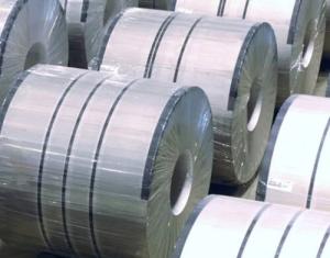 Wholesale Zinc Coating Galvanized Steel Coil SPCC Z100 Hot Dipped 1219mm from china suppliers