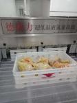 Liquid Nitrogen Freezer Industrial Quick Freezer Freezing Machine For Chicken