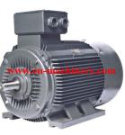 Engine Motor three phase Super High Efficiency AC DC Electric Motor