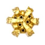 Well Drilling Diamond Core Bits High abrasion 216 Pdc Drill