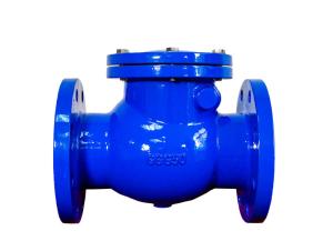 Wholesale DN50-300 Cast Iron Industrial Check Valve For Water Pump JIS B2212 from china suppliers