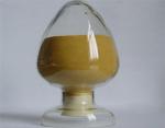 salvia sclarea extract China manufacturer --Salvia Miltiorrhizae bge extract
