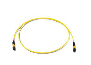 Wholesale IL 0.70dB MPO/MTP SM Fiber Optic Patch Cords from china suppliers
