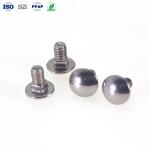 Customized Mirror Polished CNC Stainless Steel Parts Carriage Bolts Cnc