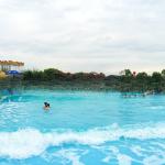 International Standard Swim Wave Pool Water Park Design Customized