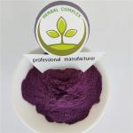blueberry extract anthocyanins powder buy best bilberry anthocyanins health