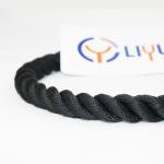 Sale Diameter 3-60mm 4mm 6mm 10mm Twisted Strands Braided Polypropylene PP Nylon