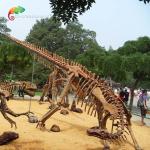 Park Decoration Dinosaur Fossil Replicas Life Size Tsintaosaurus Skeleton