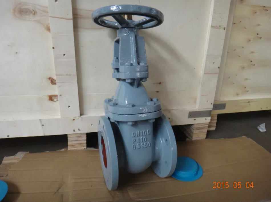 Durable Medium Temperature Y Type Strainer Cast Iron Brass Seal Metal Seat Gate Valve